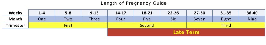 pregnancyguide2_med_hr